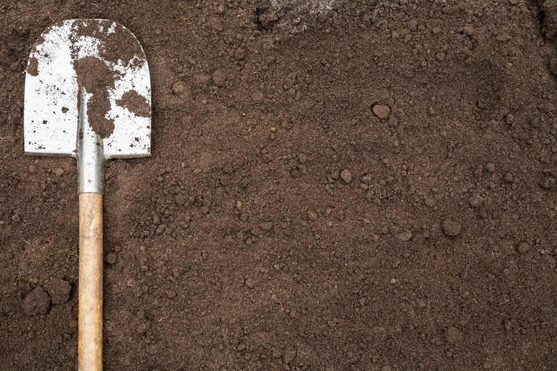 image of a shovel on the ground
