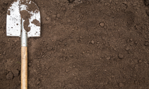 image of a shovel on the ground